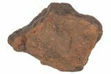 Chondrite Meteorite ( grams) - Western Sahara Desert #233187-1
